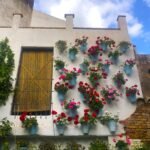 Patios de Cordoba