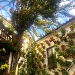 Patios de Cordoba