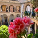 Patios de Cordoba