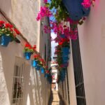 Patios de Cordoba